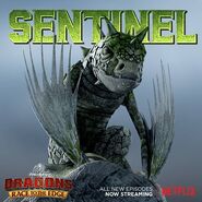 Sentinel promo