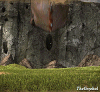 63885fb2fbf0d05aebf4433772e75367.gif