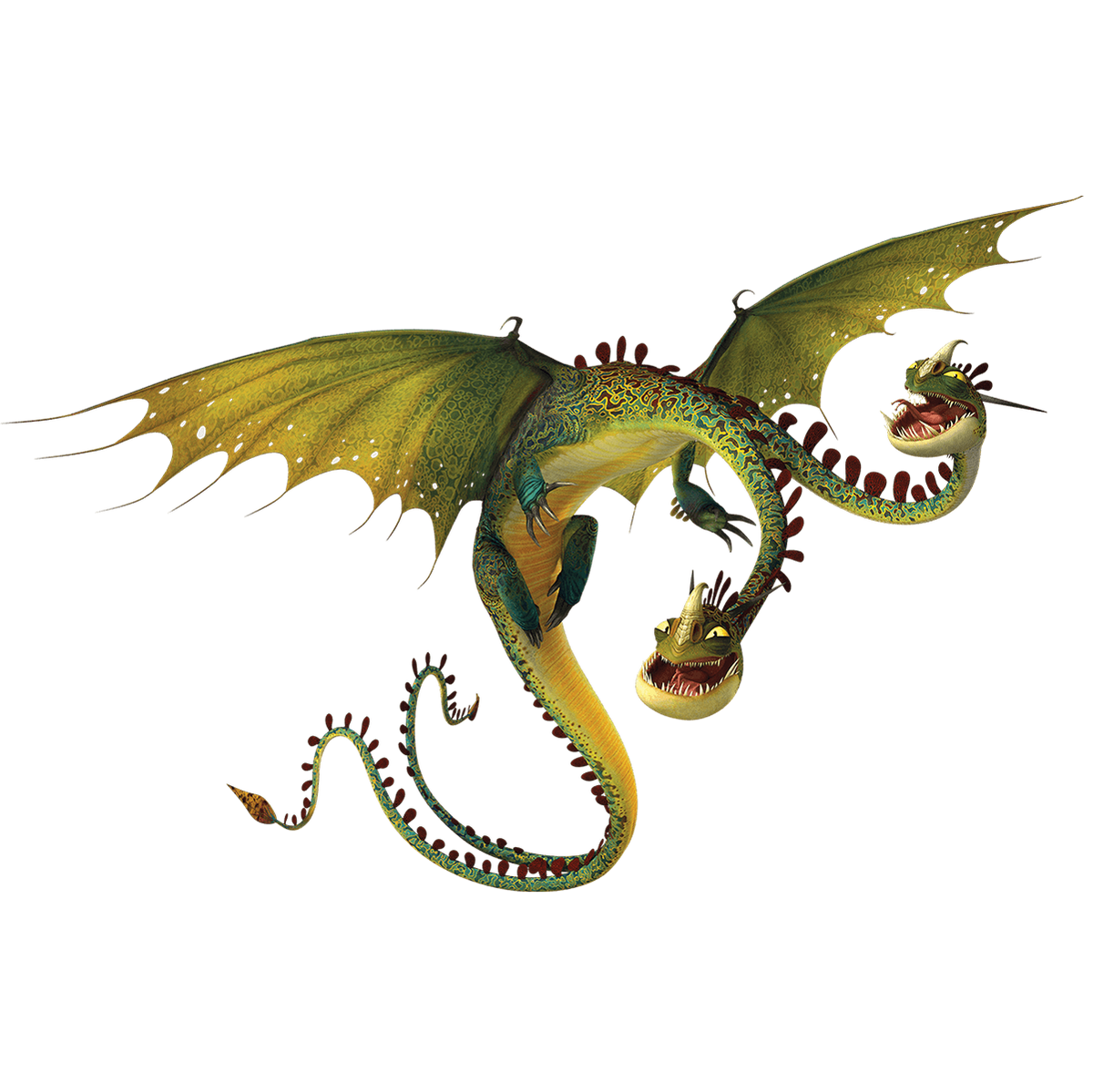 Все виды драконов из как приручить дракона. Королева огнеедов из как приручить дракона. Как приручить дракона все драконы. Разные драконы. Все виды драконов из как приручить дракона.