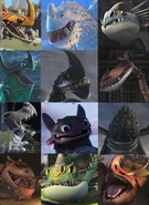 4cEvbjeSWHM.jpg (81 КБ)