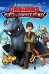 Dragons-gift-of-the-night-fury.31051.jpg