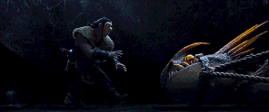 Stormfly.gif