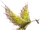 Брат Светоча