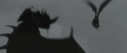 20200619 142858.gif