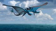 Sea shocker gallery 2.jpg
