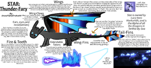 A diagram of Star, detailing her various abilities and attributes.