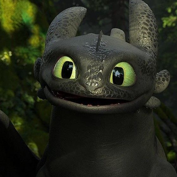Toothless dragon trainer shop