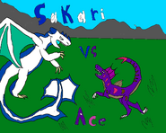 SakarivsAce