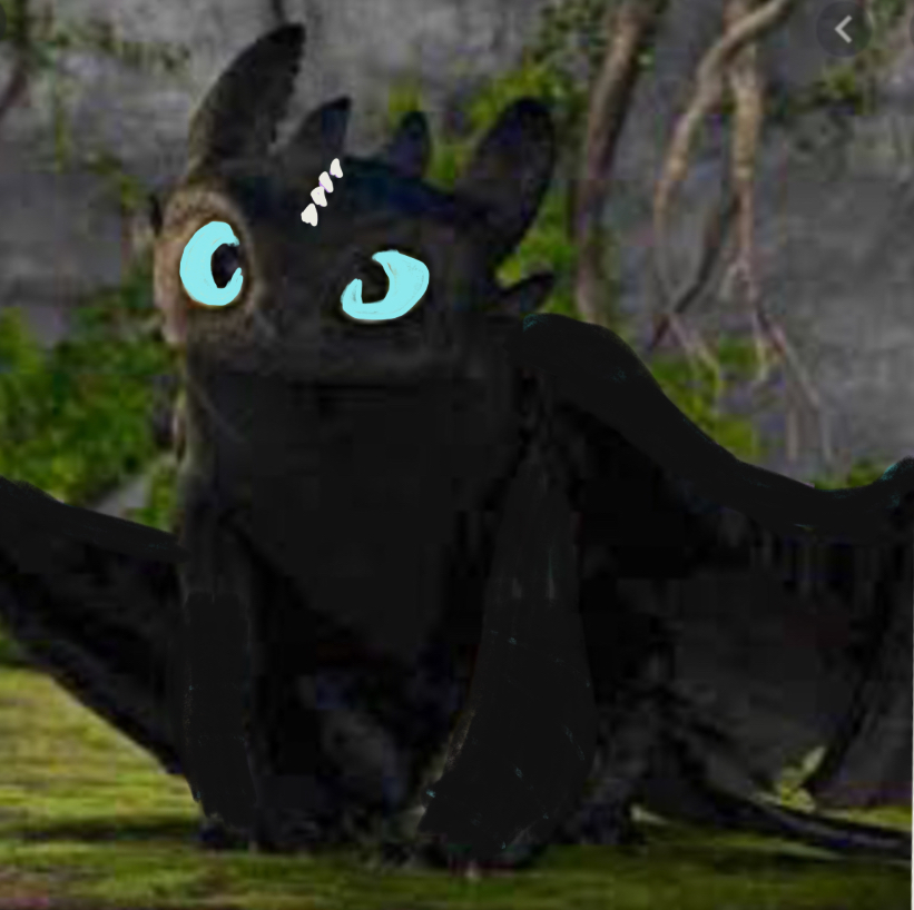 Gallery: Night Fury  How to train your dragon, How train your