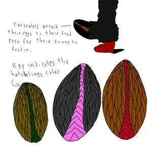 TarscaleEggsFLIPPED.png