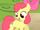 Apple Bloom