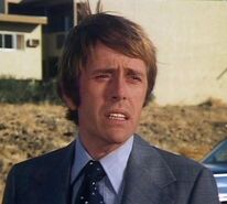 Jack Colvin as Jack McGee (56 episodes)