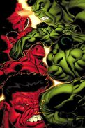 Red Hulk vs Green Hulk