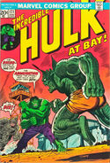 The Incredible Hulk #171 January 1974