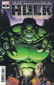 
The Immortal Hulk #25 1:25 Ed McGuinness Variant