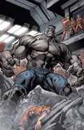 Brutaal-vs-Hulks-Battles-Comic-Vine (3)