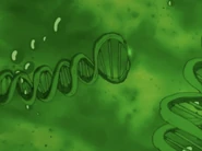 Jennifer's DNA starts to get damaged due to being exposed to the gamma radiation in Bruce's donated blood