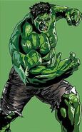 Hulk-robert-massetti