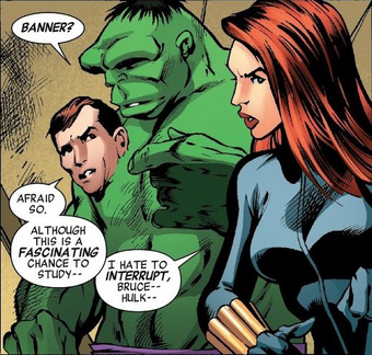 Bruce Banner Hulk Wiki Fandom