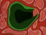 Her cells, starting to become green