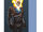 Ghost Rider