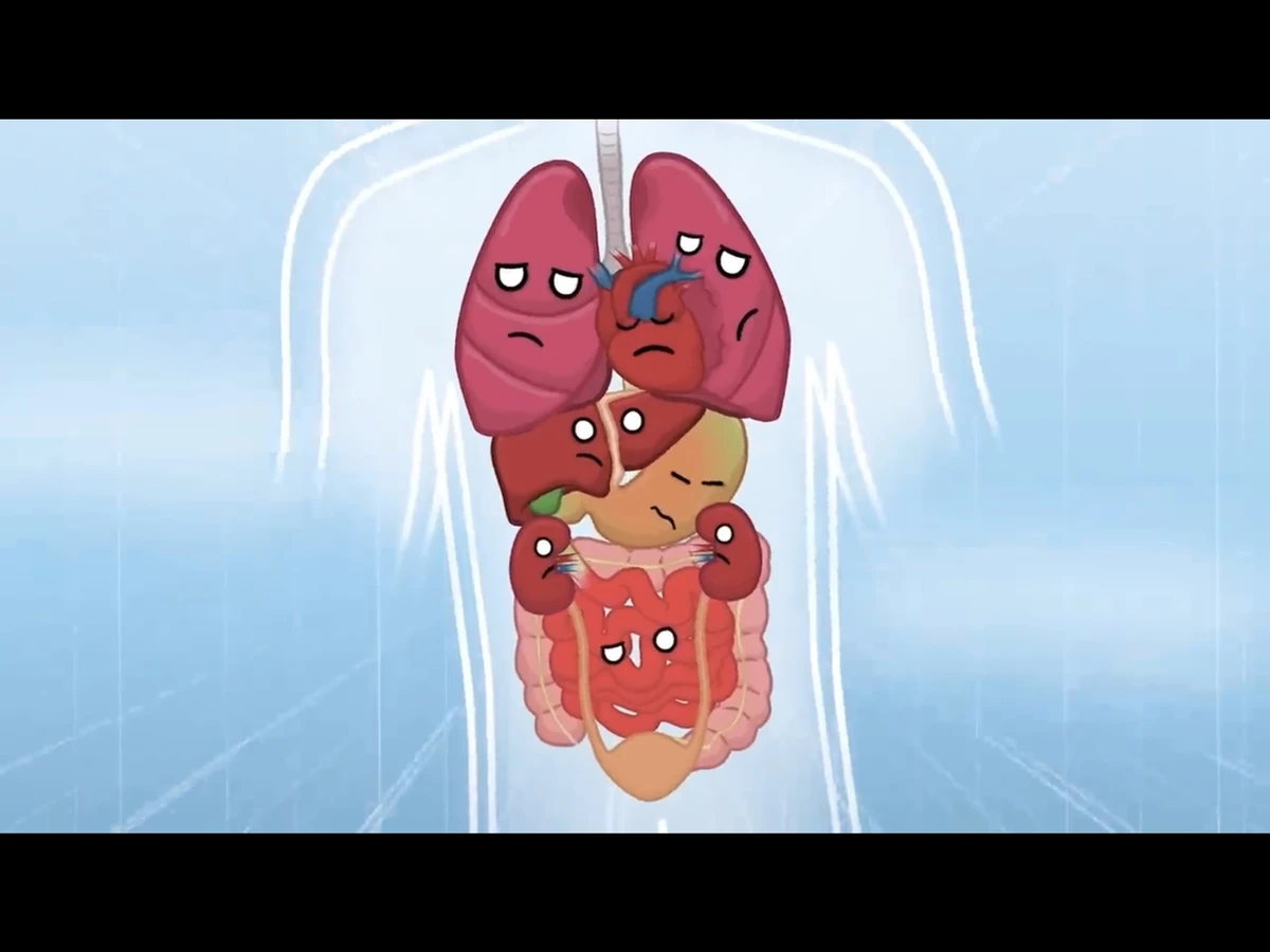 How to Survive Falling Without a Parachute/Gallery Human Buddy Wiki