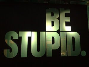 Be stupid @ Amsterdam