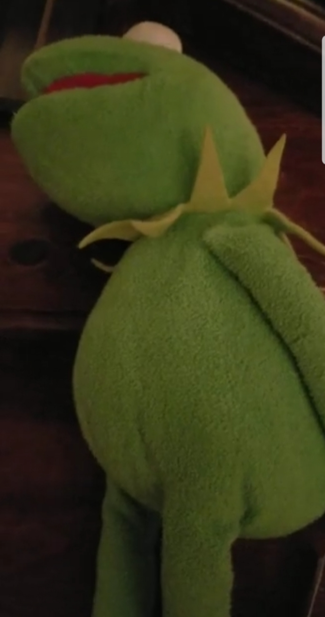 Kermit the Frog | Human Tish and Tash show Wiki | Fandom