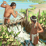 Flood Irrigation.png