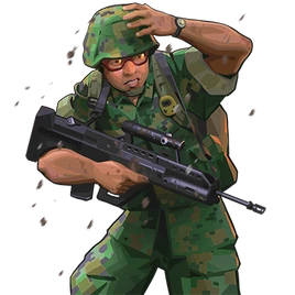 Reservists