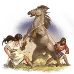 Horsemanship