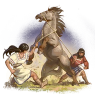 Horsemanship