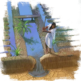 Irrigation