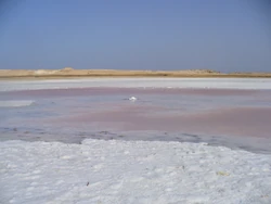 Saline Lake at Ras Mohamed National Park'"`UNIQ--ref-00000006-QINU`"'