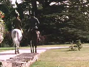 53 horses Pride and Prejudice