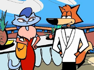 Spy Fox and Russian Blue