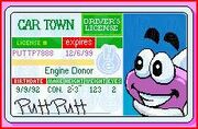 Driver's License