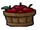 Apples