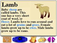 Buzzy's information about the lambs.jpg