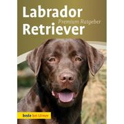 Labrador-retriever-premium-ratgeber.jpg