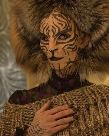 Tigris Wiki Hunger Games France Fandom Tigris Wiki Hunger Games France Fandom