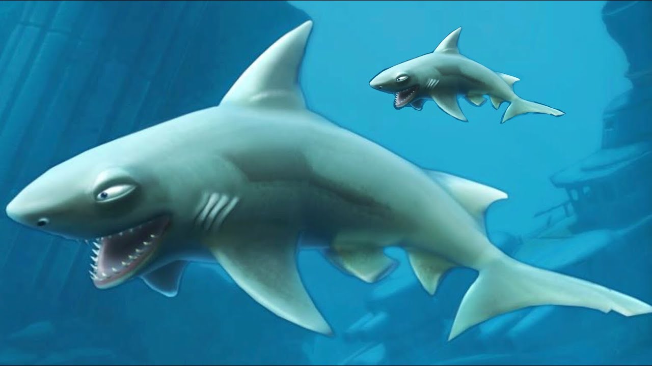 Рифовая акула Хангри Шарк. Hungry Shark рифовая акула. Акулы из игры hungry Shark Evolution. Хангри Шарк Эволюшн рифовая акула.