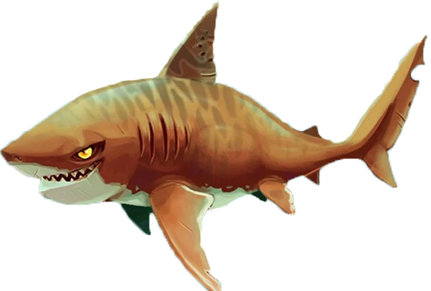 Тигровая акула | Hungry Shark World вики | Fandom