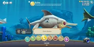 new Echo (Ichthyosaur) redesign