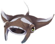 Baby Mantaray Oceanic 2024
