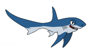 Thresher Shark.png (50 KB) Drawing of Thresher shark