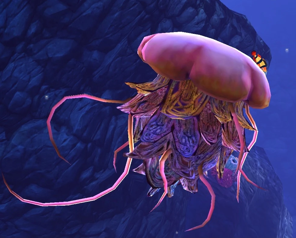 lion jellyfish