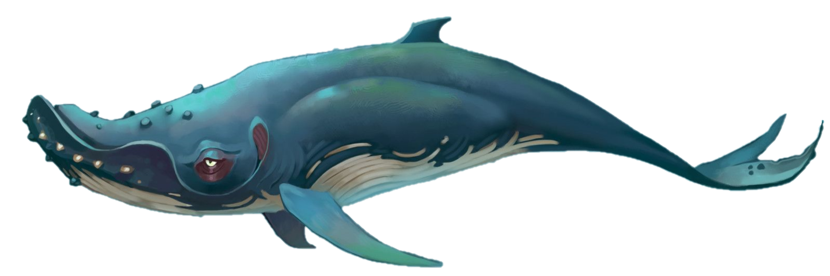 images of blue whale