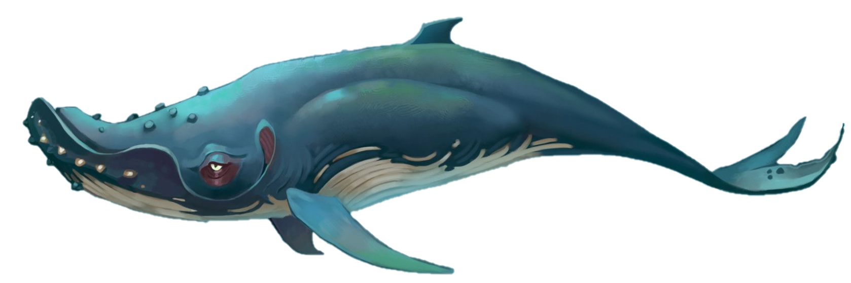 Megalodon Shark Vs Blue Whale