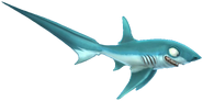 Thresher Shark no Background